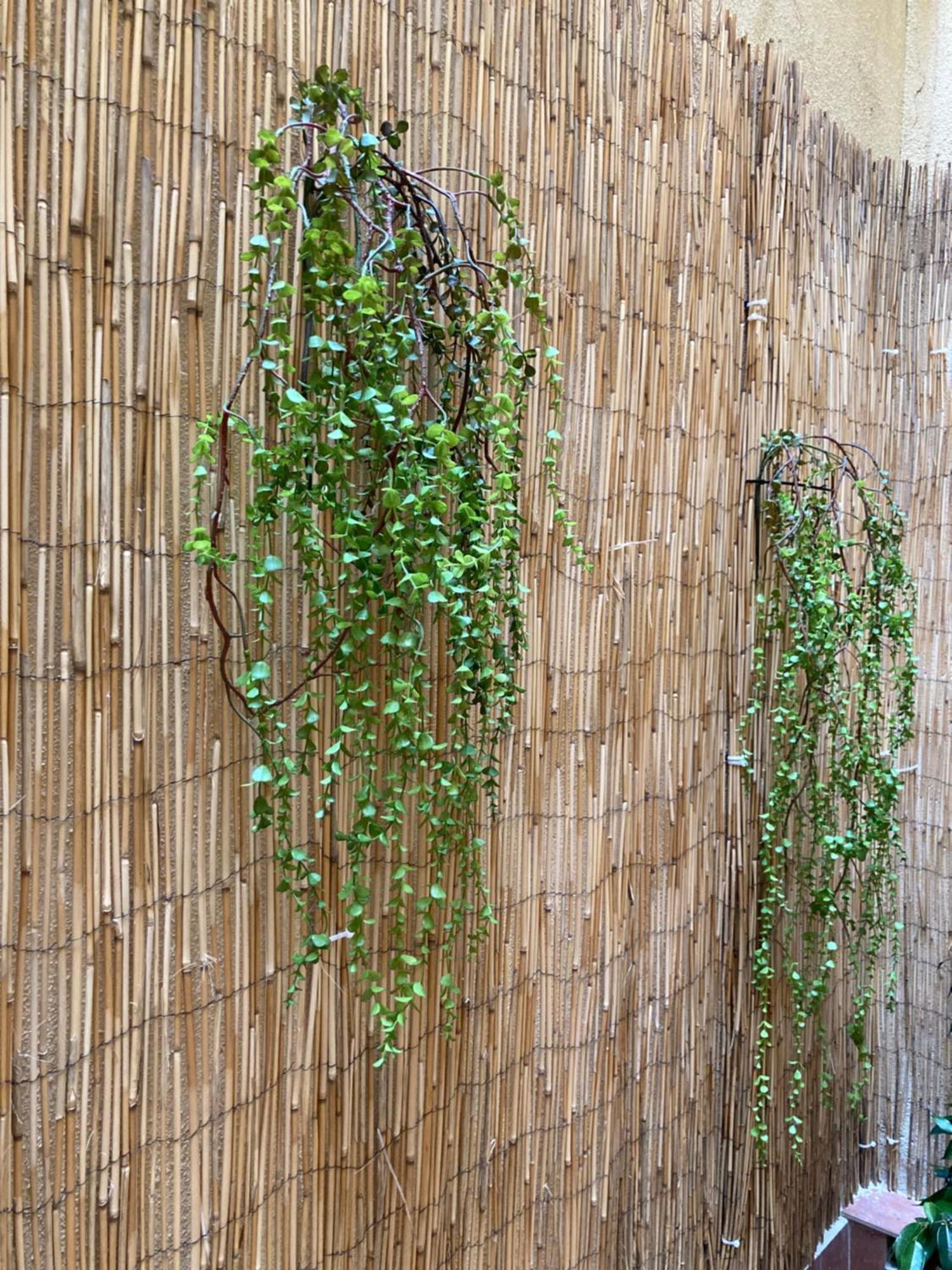 Mon Art Apartment Logrono Exterior photo